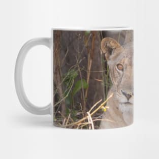 Lioness in the shade Mug